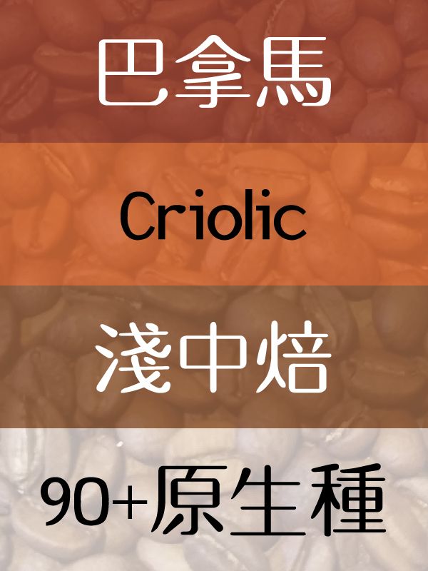 90+系列Criolic原生種