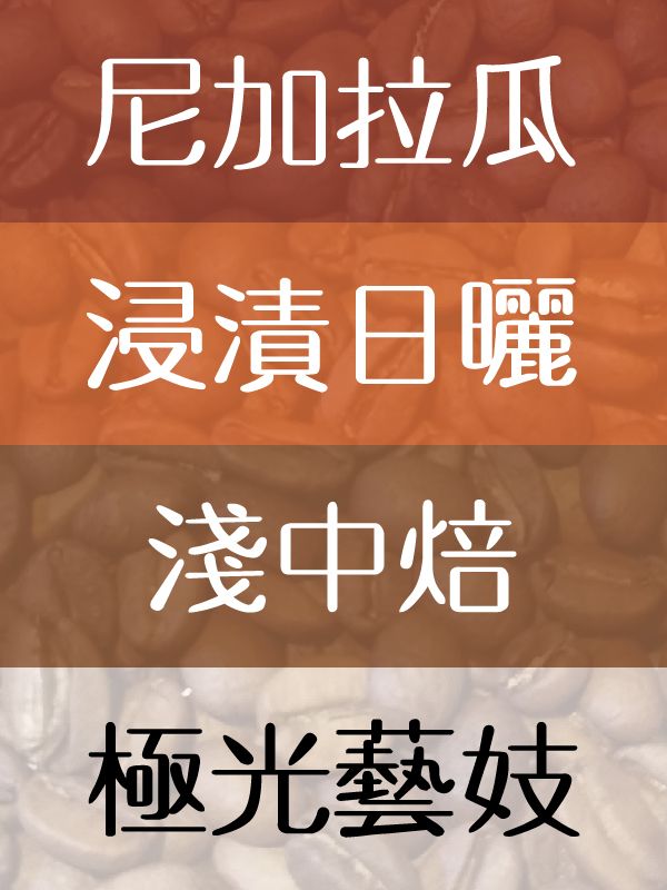 極光藝妓