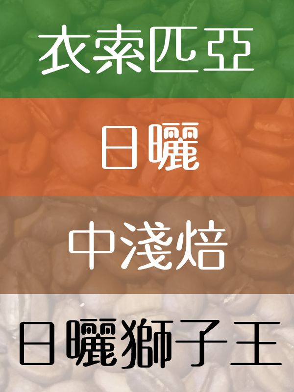 日曬獅子王