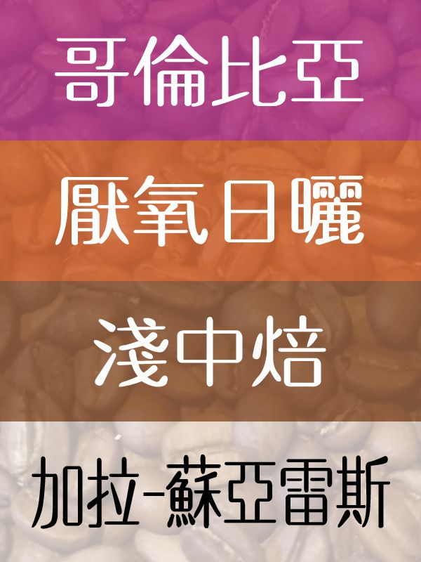 加拉-蘇亞雷斯