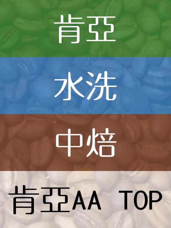 肯亞AA TOP