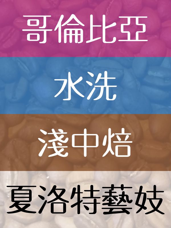 夏洛特藝妓