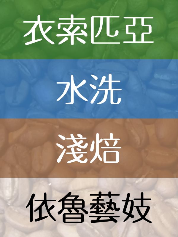水洗依魯藝妓