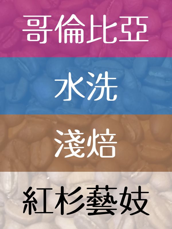 紅杉藝妓