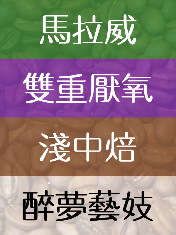 醉夢藝妓