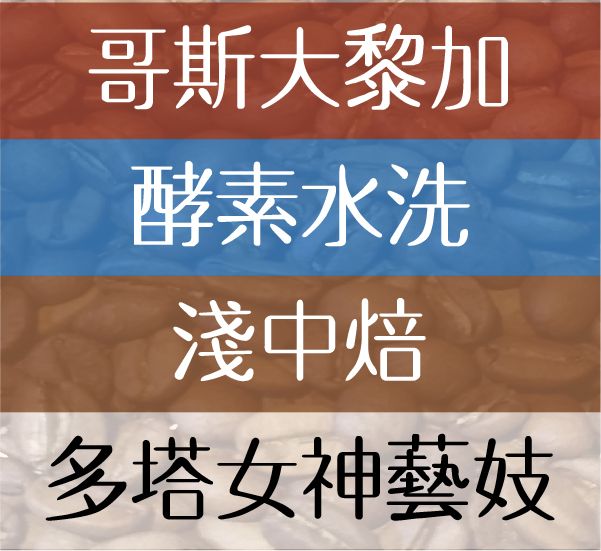 多塔女神藝妓