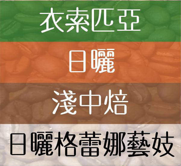日曬格蕾娜藝妓