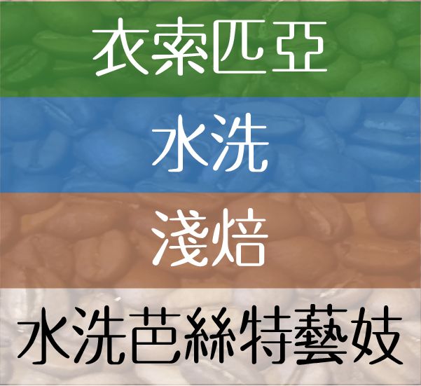 水洗芭絲特藝妓