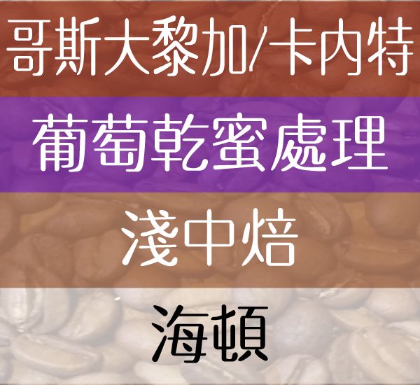 海頓