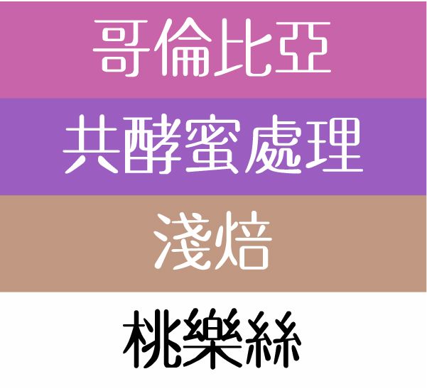 桃樂絲