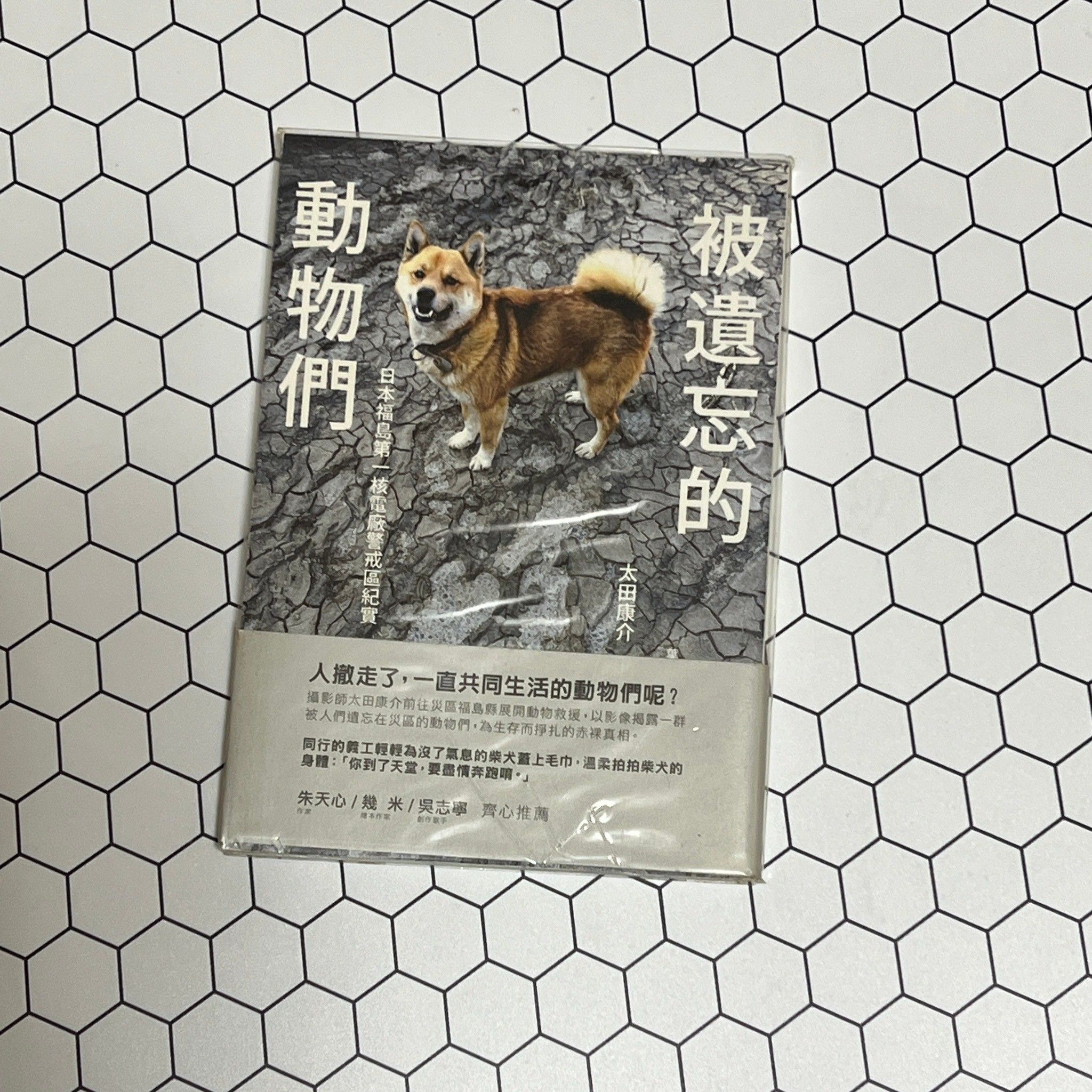 旅行、其他、難以分類 類