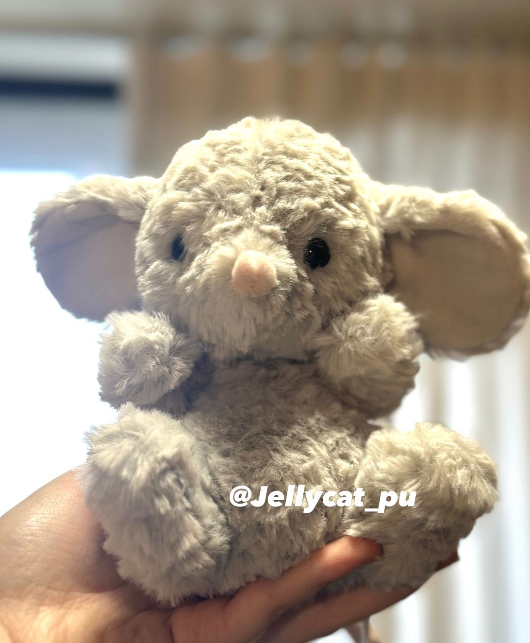 🇺🇸美國代購 台灣出貨✈️ Jellycat 美味鼠娃娃｜保證正品/不正可退｜照片為本賣場實拍