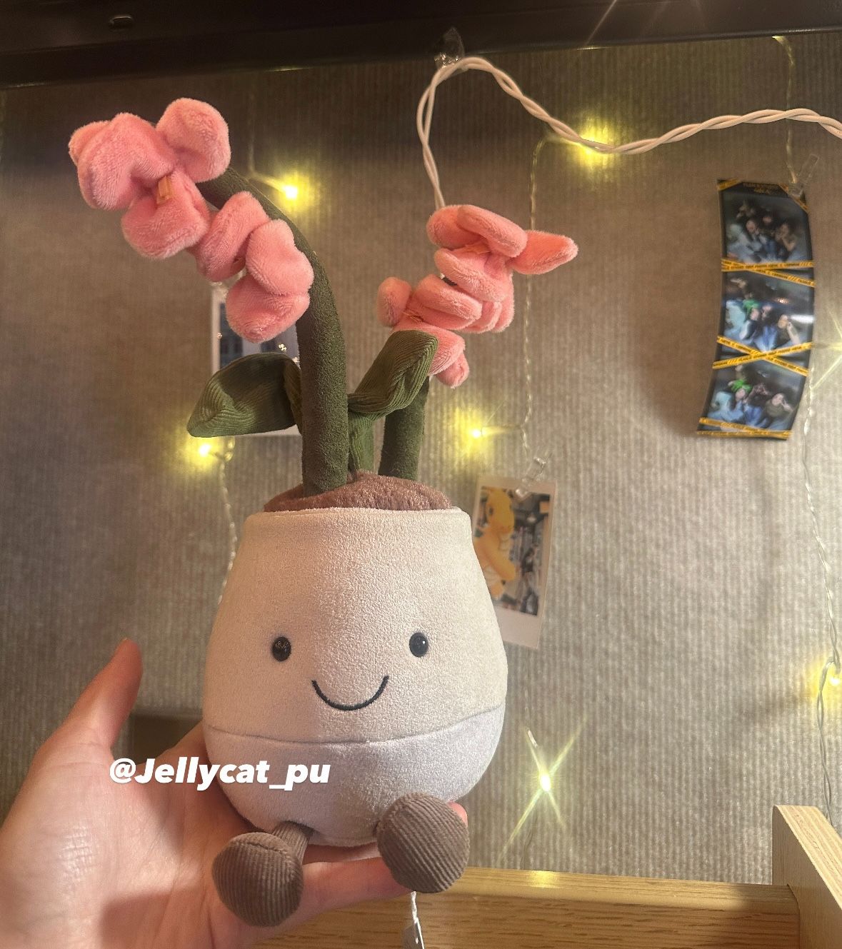🇺🇸美國代購 台灣出貨✈️ Jellycat 粉色蘭花娃娃｜保證正品/不正可退｜照片為本賣場實拍