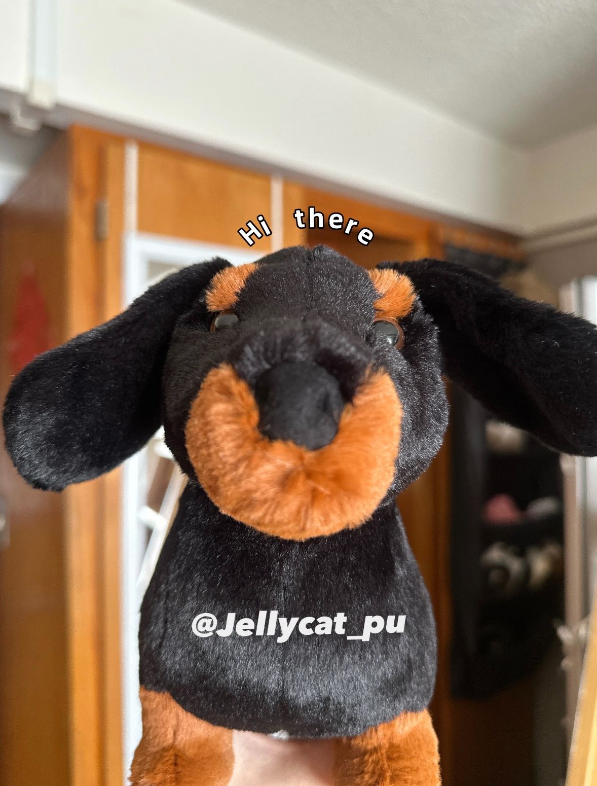 🇺🇸美國代購 台灣出貨✈️ Jellycat 臘腸狗Freddie娃娃｜保證正品/不正可退｜照片為本賣場實拍