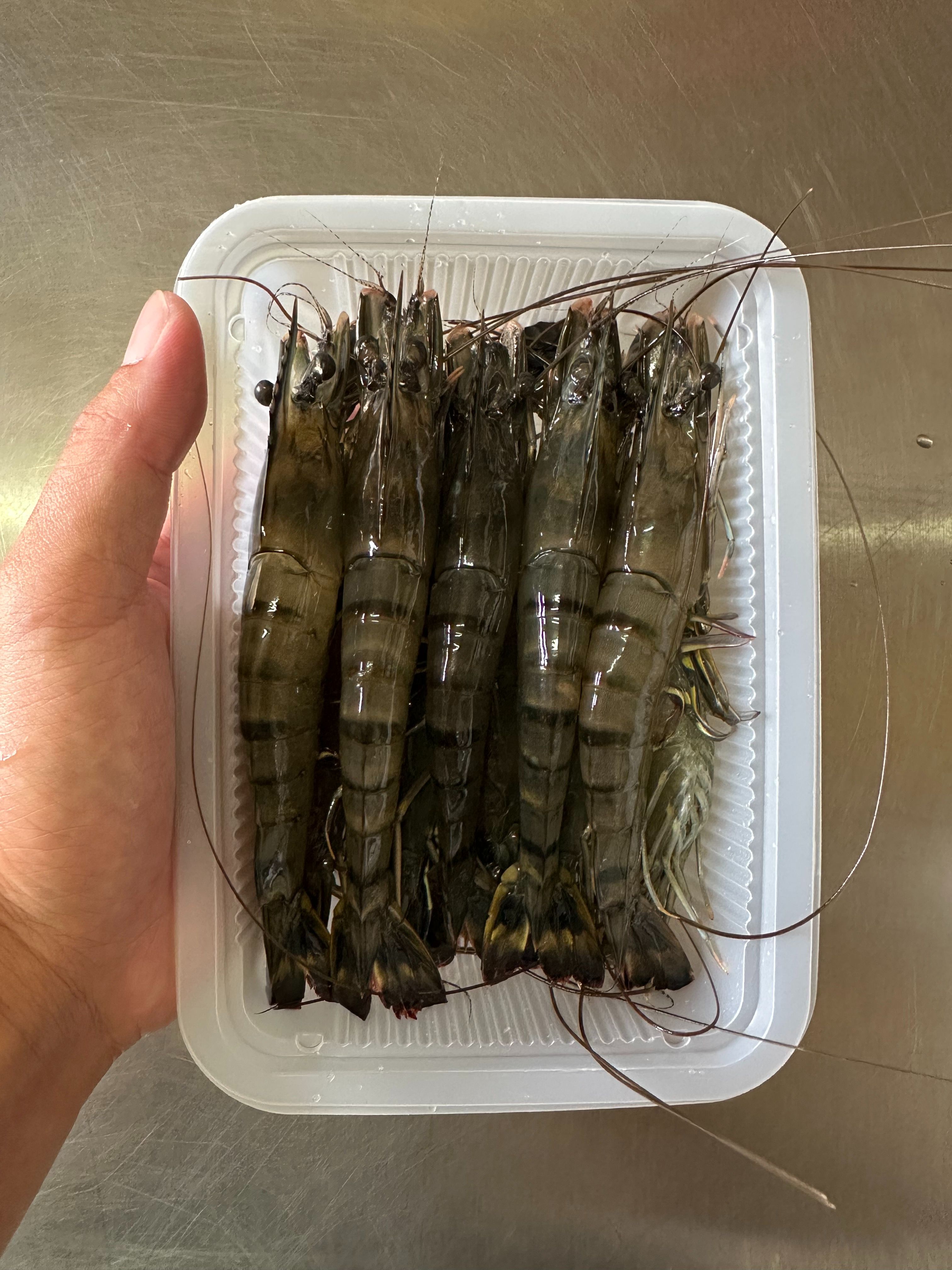 永安鑽石水草蝦300g （約9-13隻）