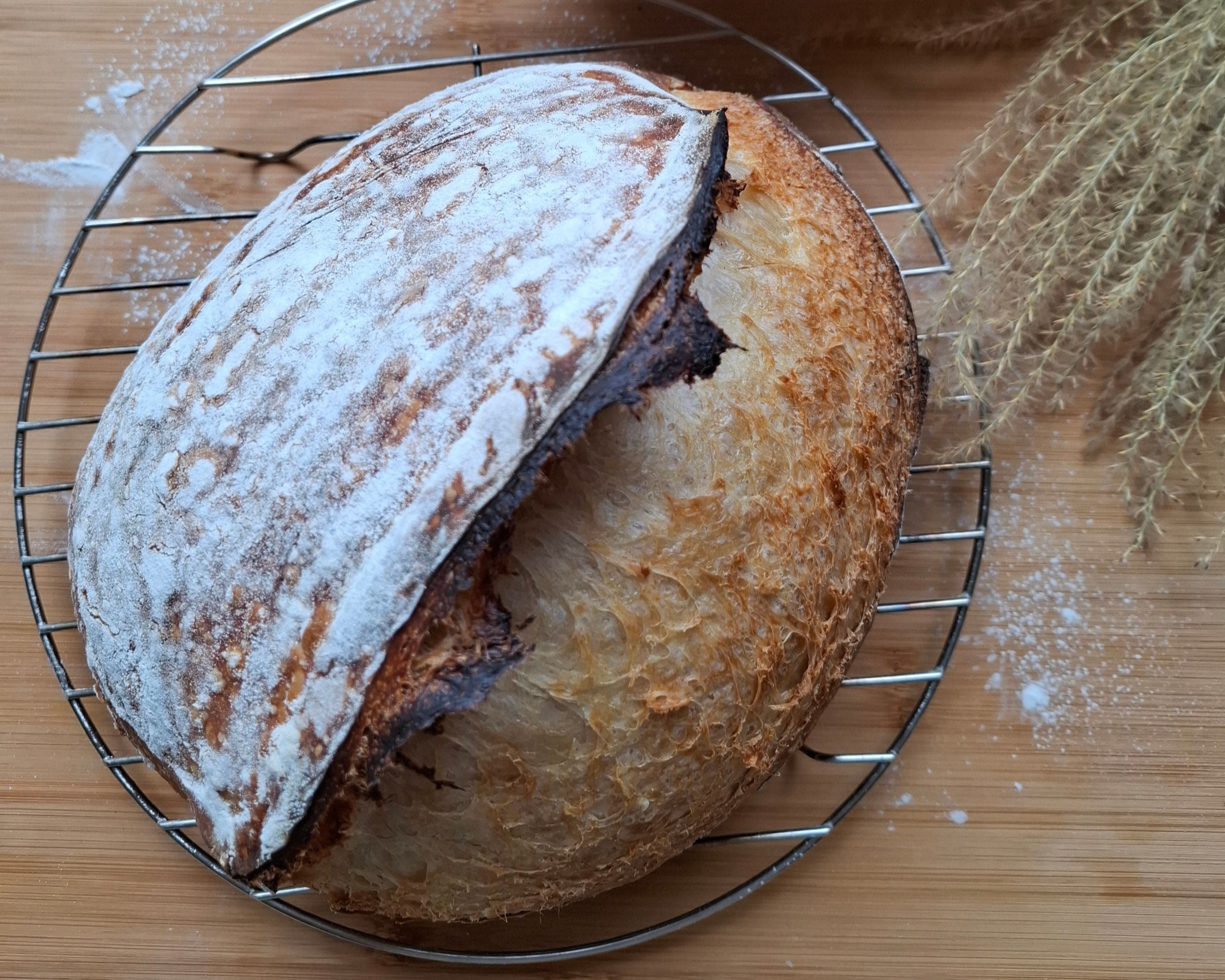 酸種麵包- Sourdough Bread