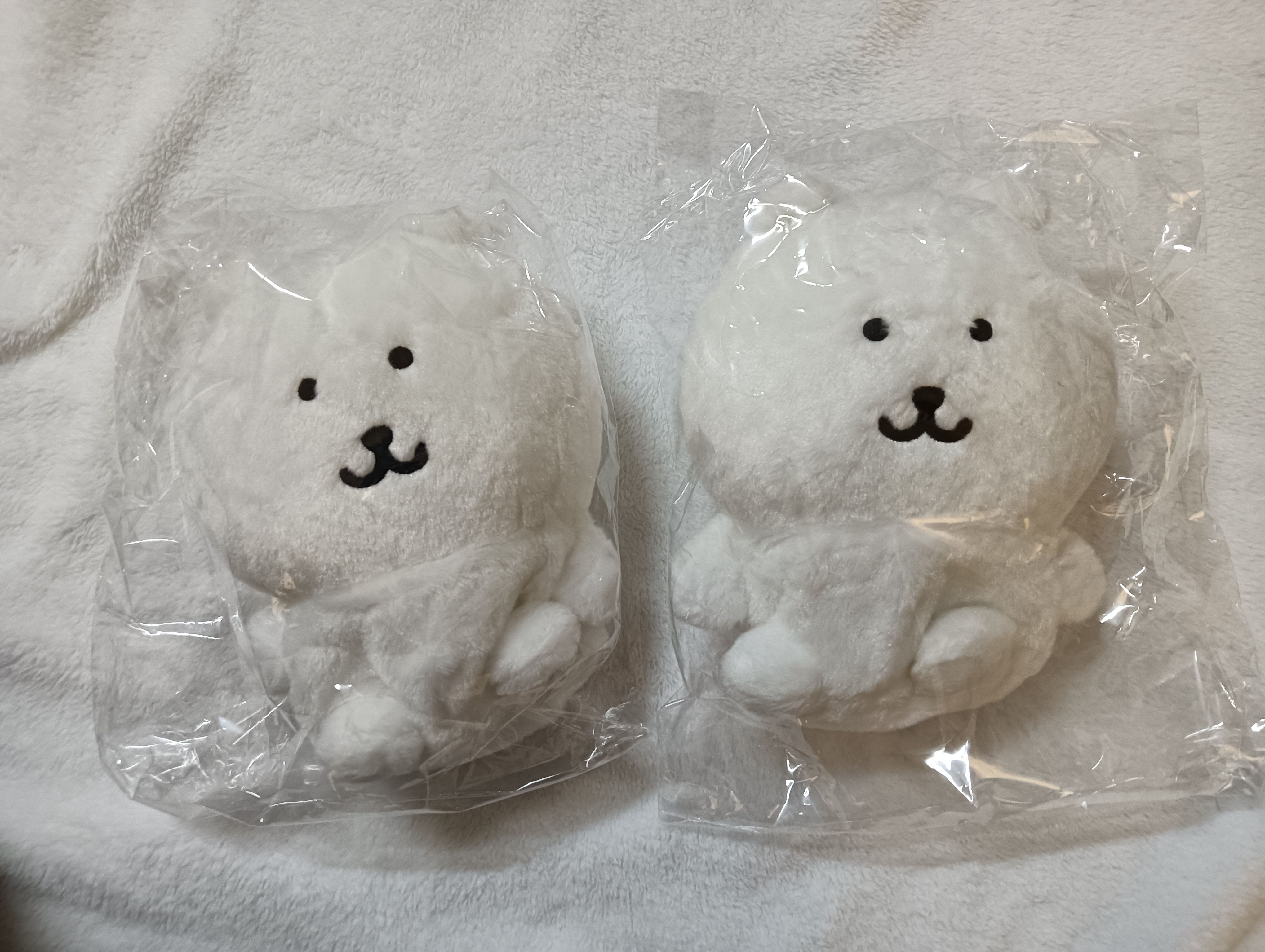 售物（現貨）
