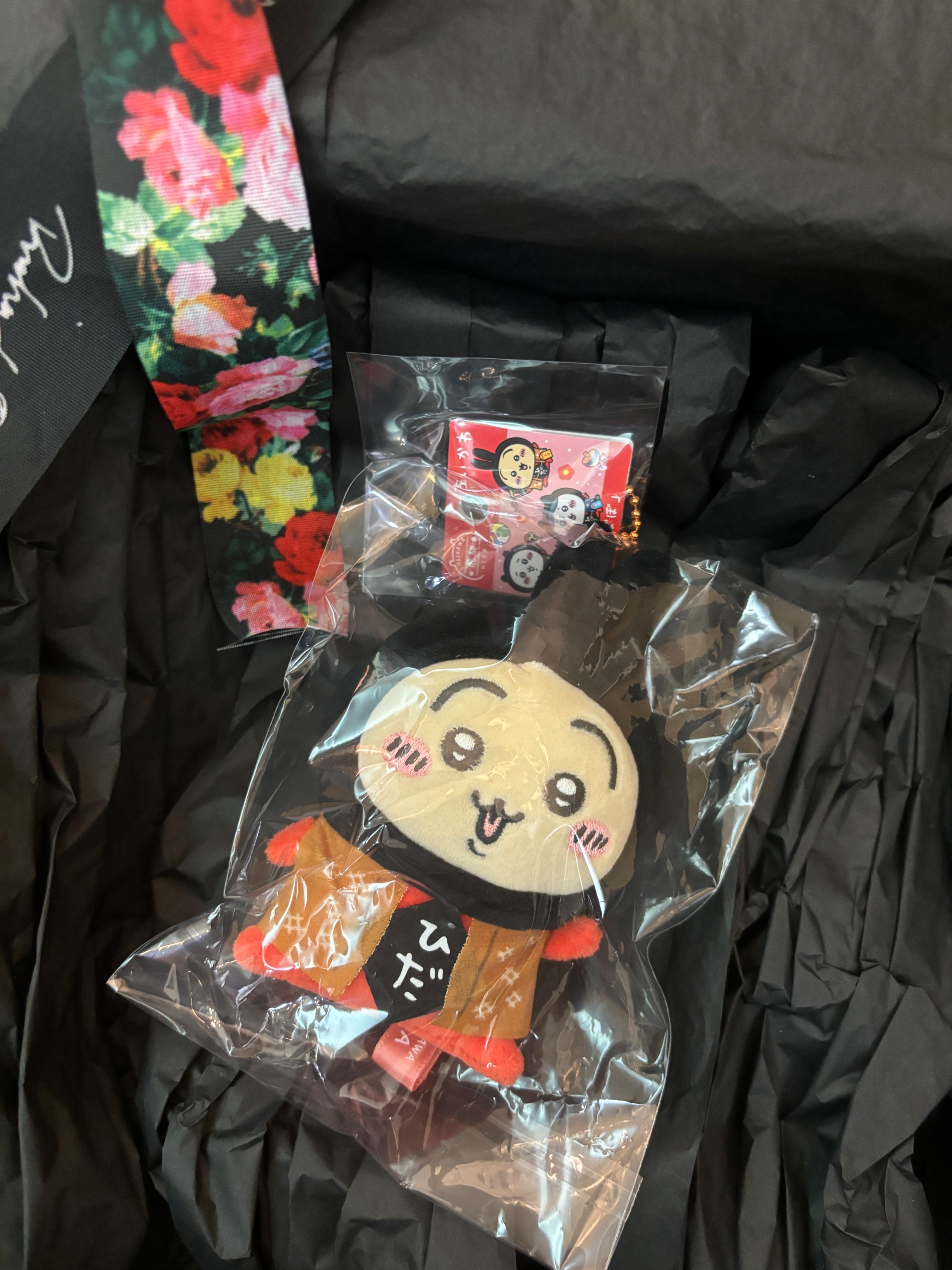 飛驒-烏薩奇