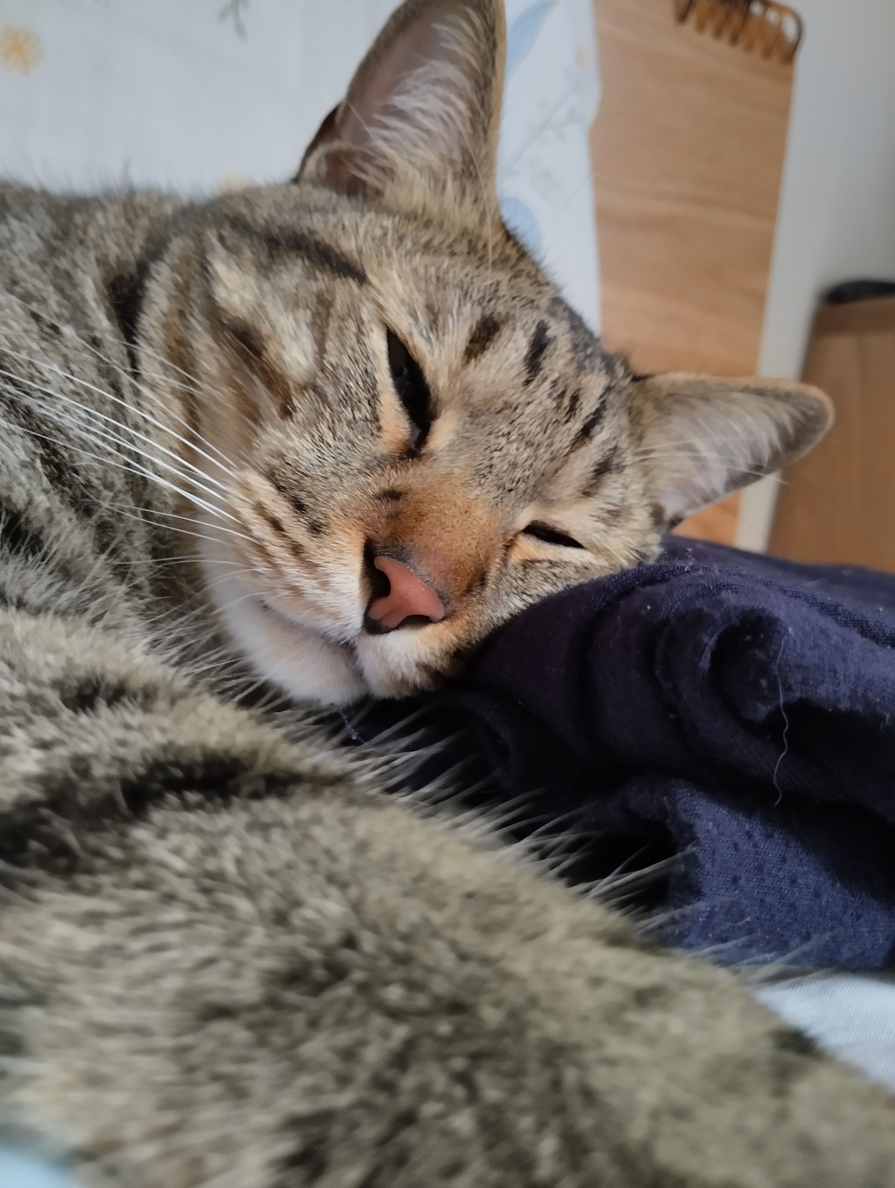 請依貼文說明下單 包手