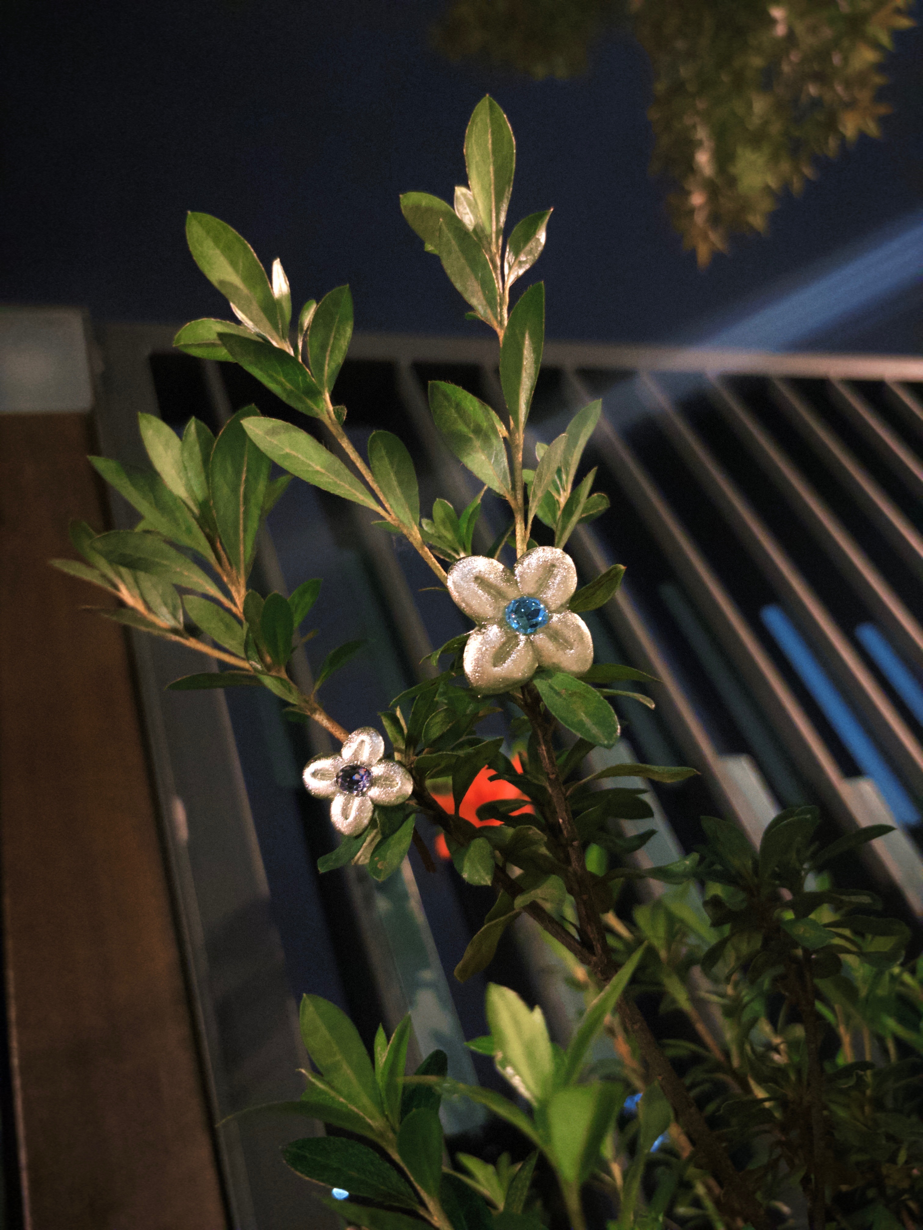 ✤四照花戒指✤（巨無霸款）