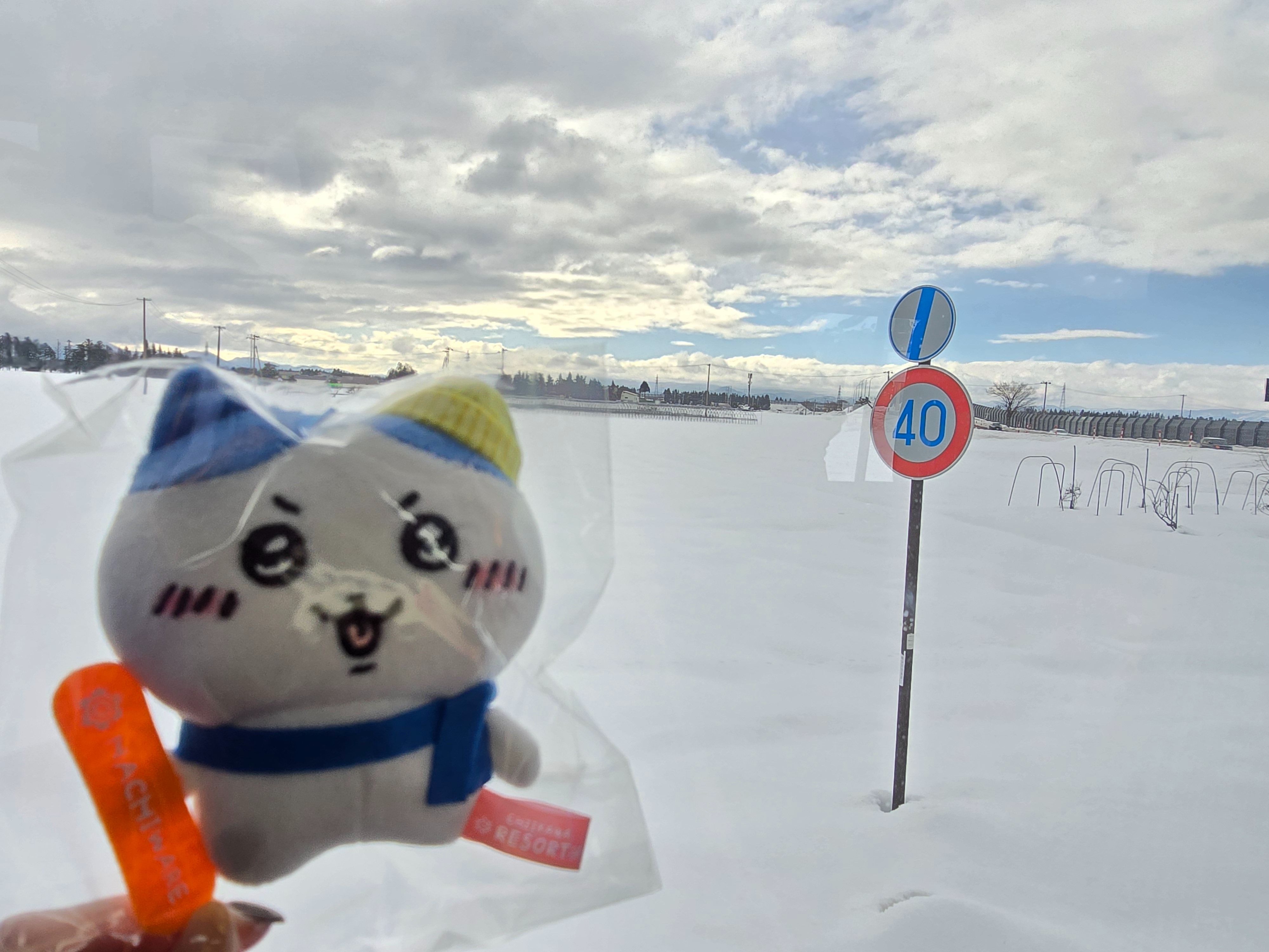 地區限定