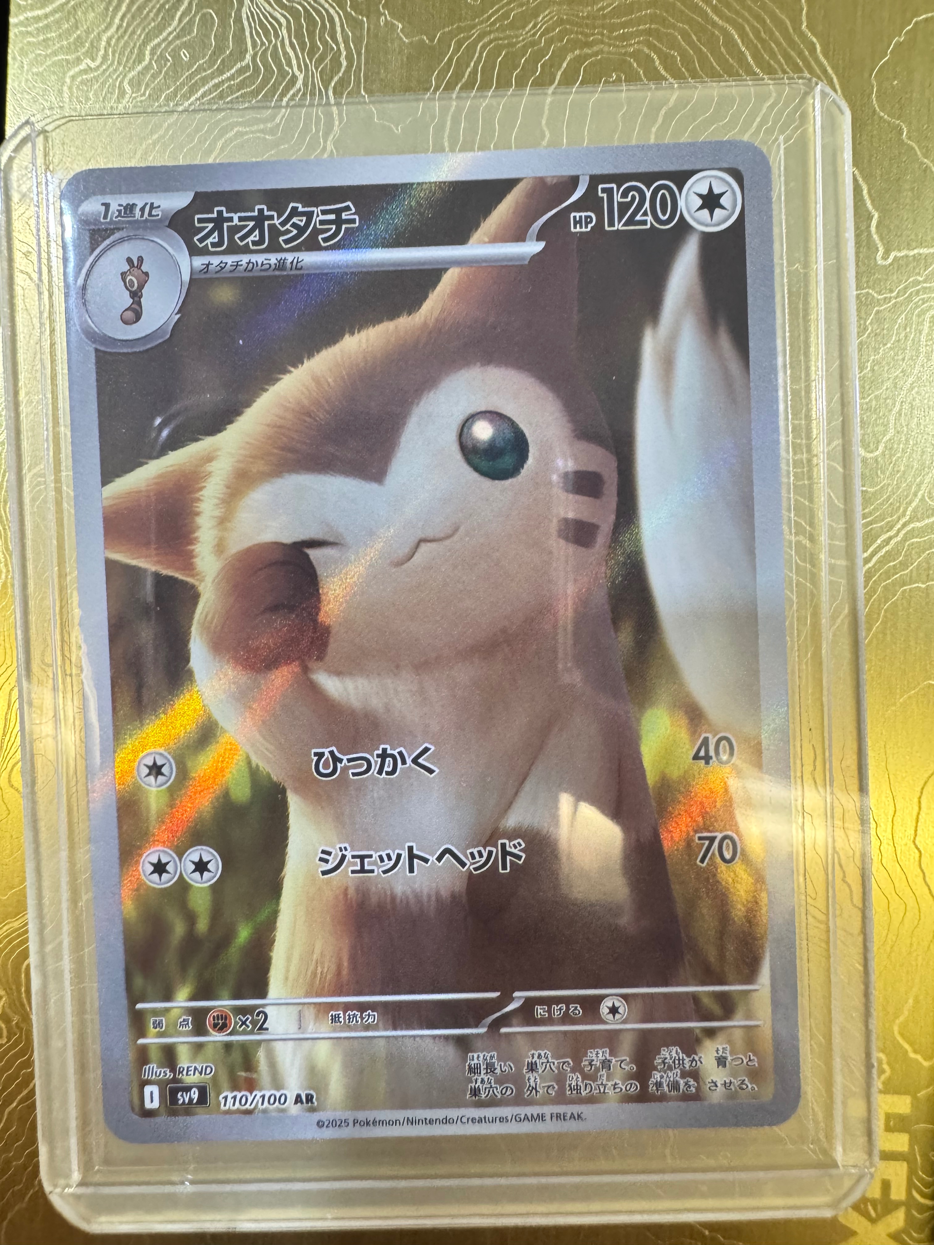 大尾立