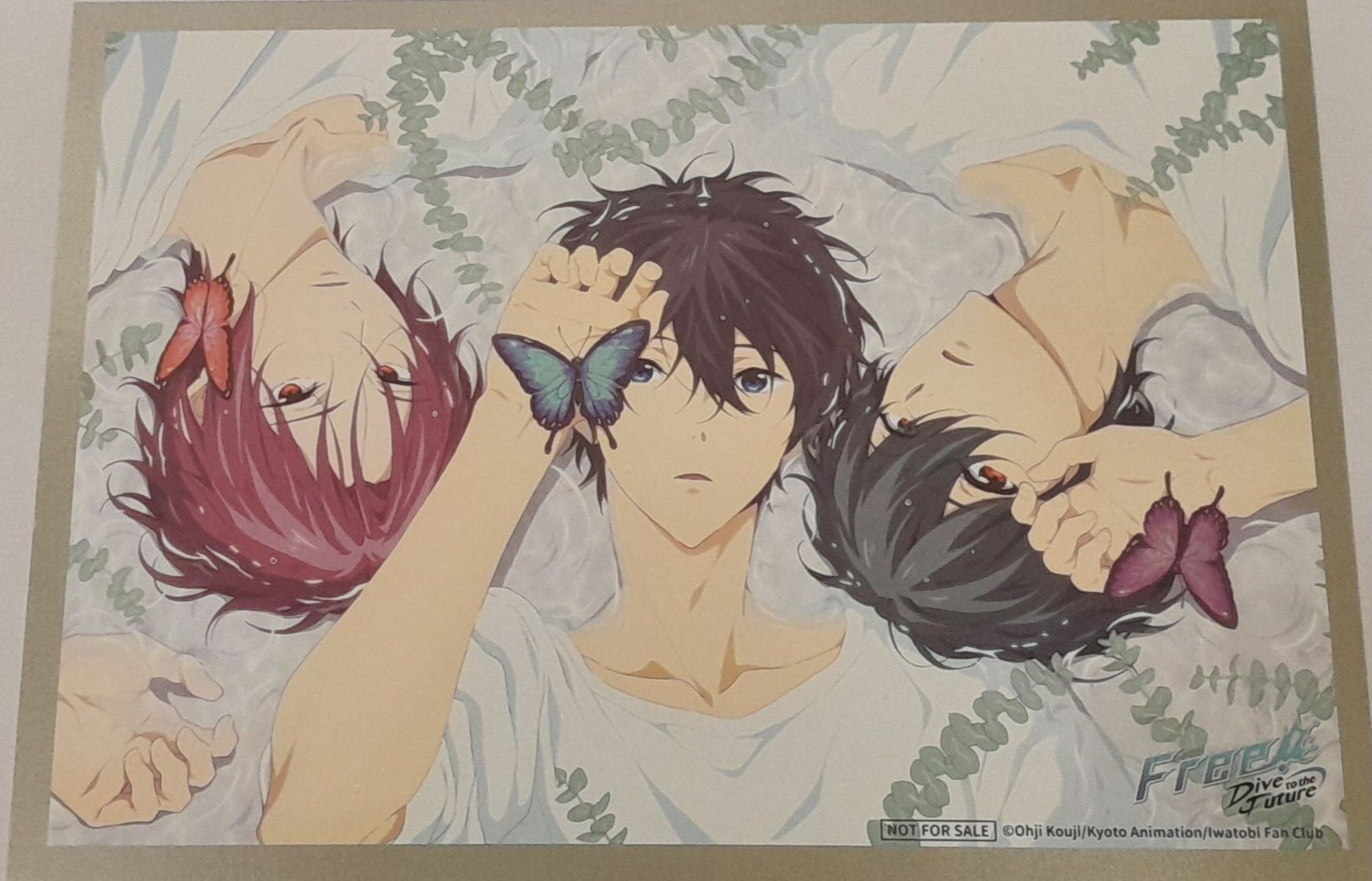 Free！男子游泳部