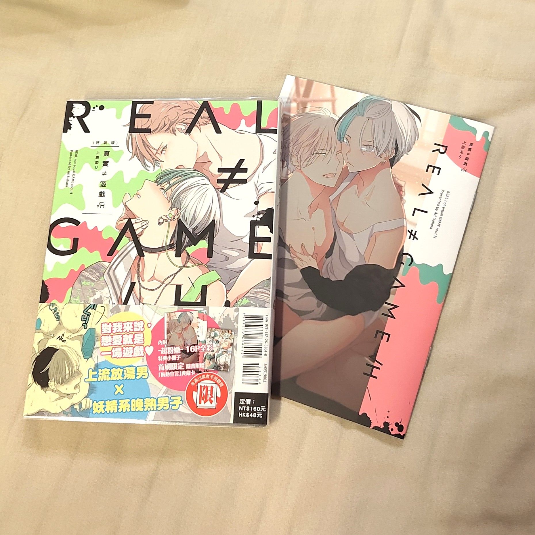 bl漫畫、小說