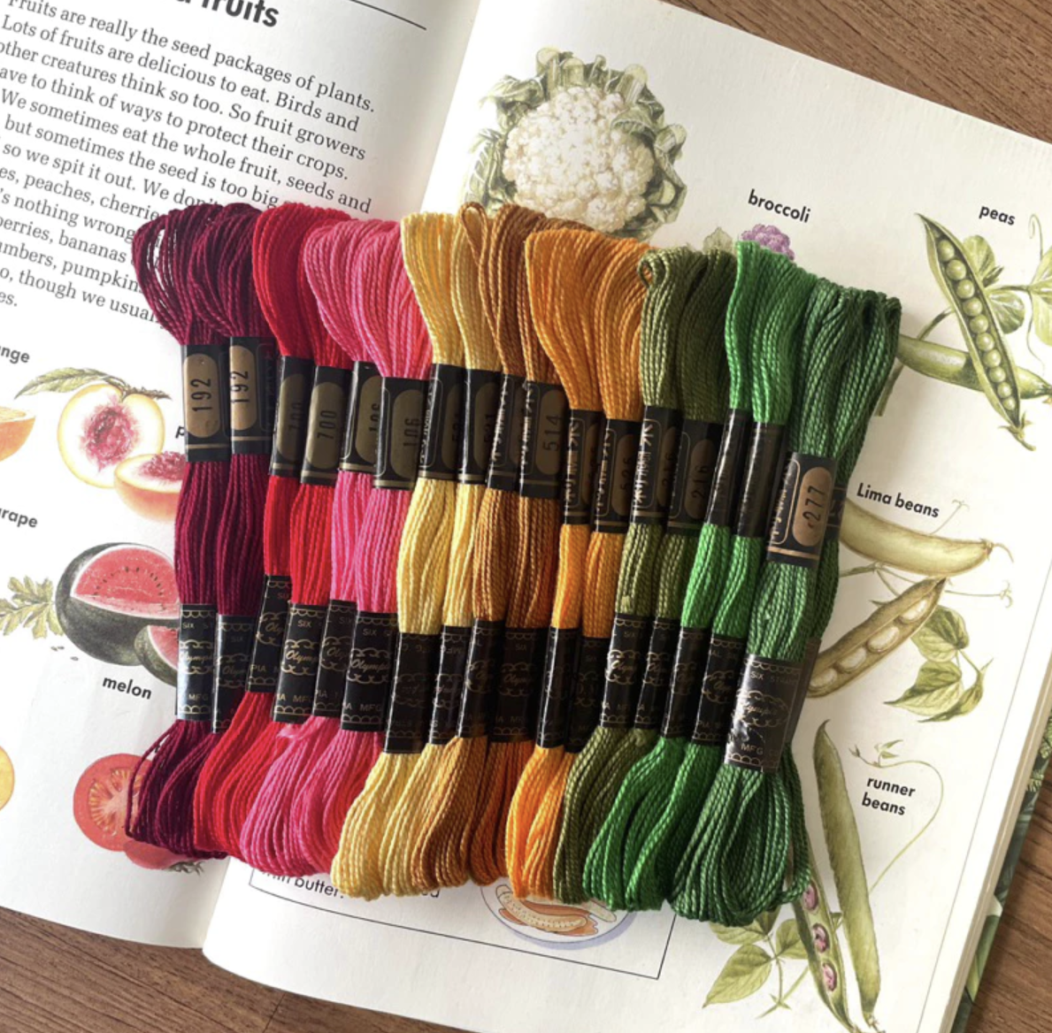 《粒線桔》【出清古董繡線】 社群95折限定優惠購貨區