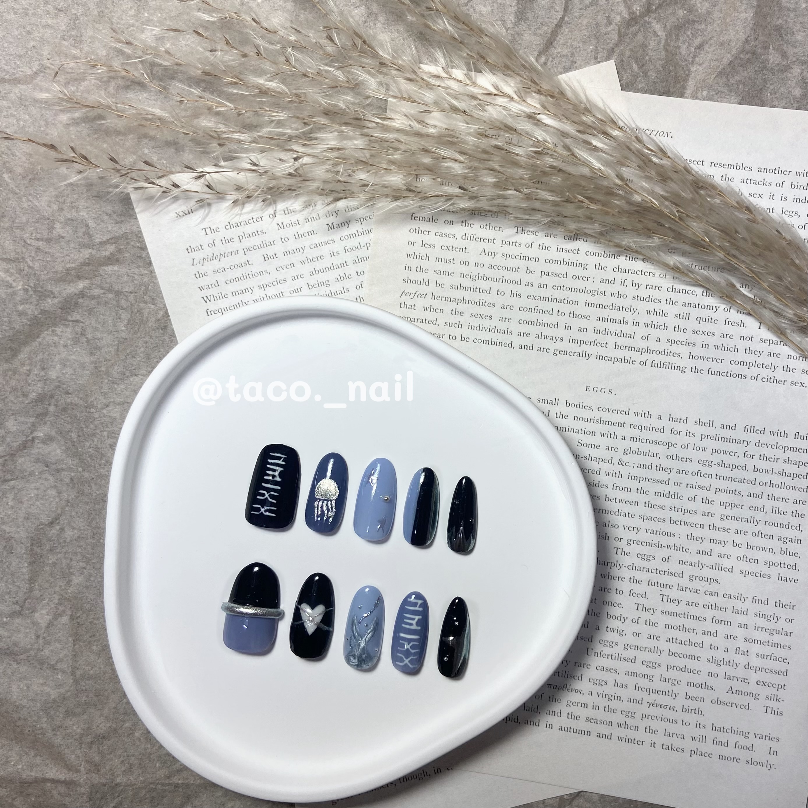 🌮️𝐓𝐀𝐂𝐎’𝐒 𝐍𝐀𝐈𝐋 塔可穿戴甲🌮️NMIXX應援甲