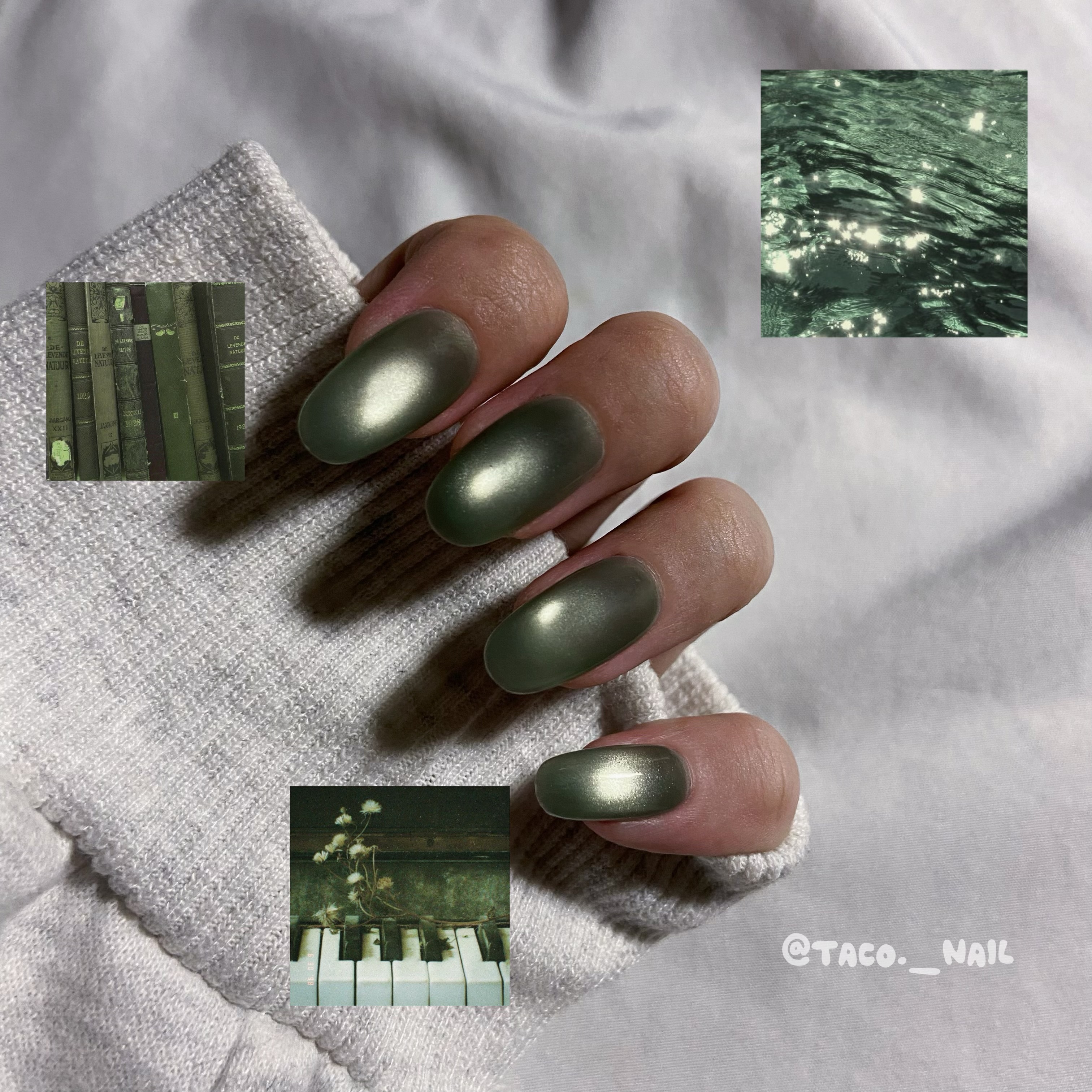 🌮️𝐓𝐀𝐂𝐎’𝐒 𝐍𝐀𝐈𝐋 塔可穿戴甲🌮️森林深處