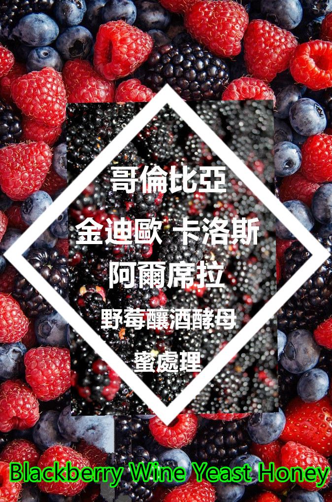 哥倫比亞 金迪歐 卡洛斯·阿爾席拉 野莓釀酒酵母 蜜處理