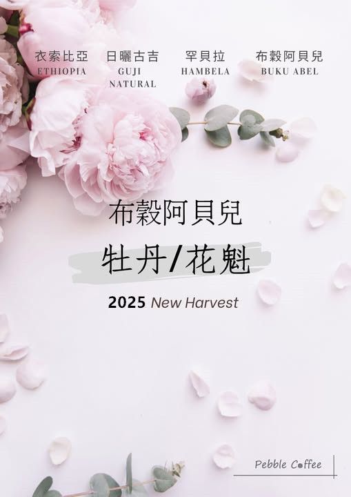 衣索比亞 日曬 古吉 布穀阿貝兒 G12025新產季