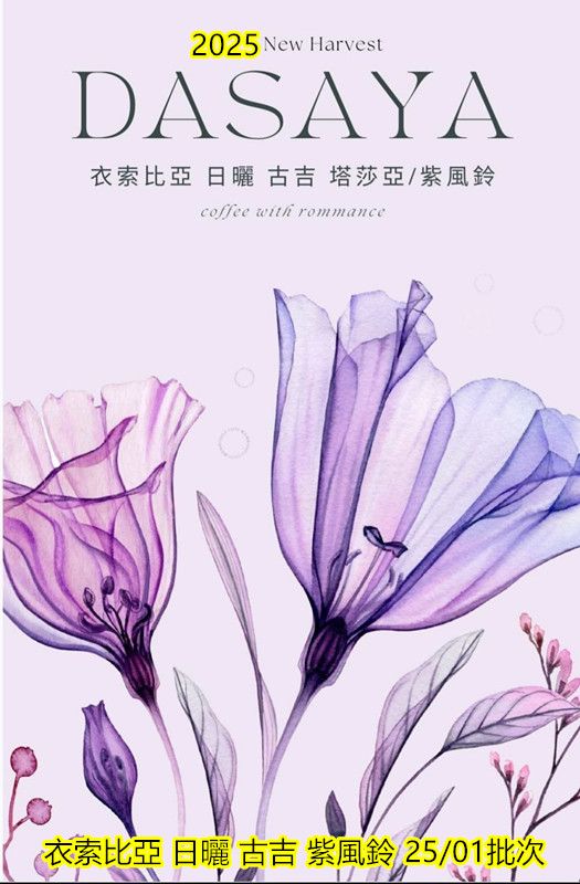 衣索比亞 日曬 古吉 紫風鈴 25/01批次