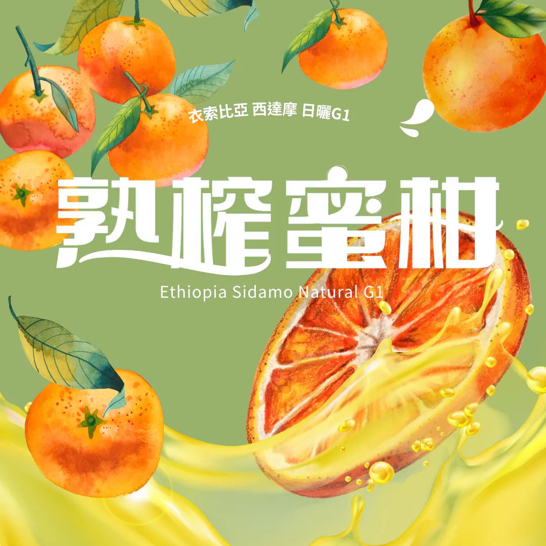 咖啡展 推薦衣索比亞 西達摩 熟榨蜜柑 日曬 G1