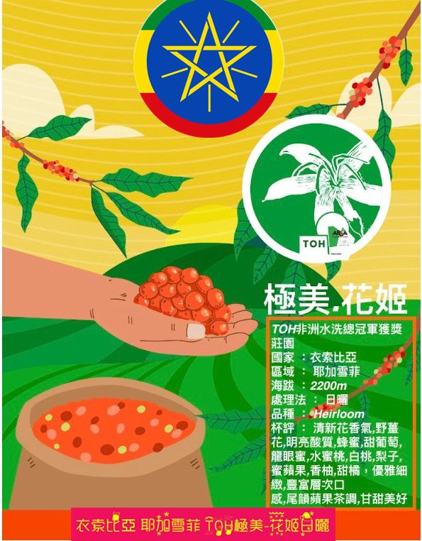 衣索比亞 耶加雪菲ＴＯＨ-極美.花姬 日曬2025批次