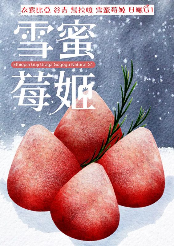 衣索比亞 谷吉 烏拉嘎鎮 雪蜜莓姬 日曬G1