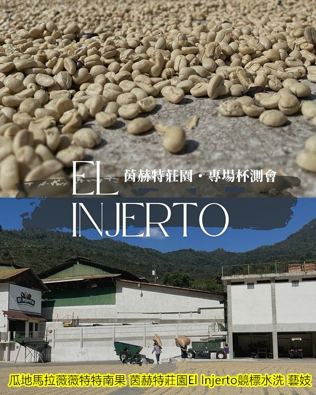 瓜地馬拉薇薇特特南果 茵赫特莊園水洗頂級 藝妓 少量