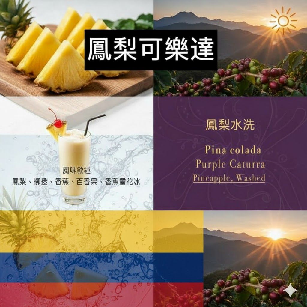 哥倫比亞 薇拉省 蒙大布蘭蔻（白朗峰）莊園 紫卡杜拉 鳳梨特殊發酵 水洗處理