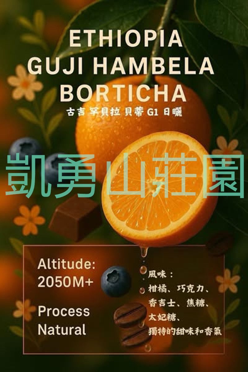 衣索比亞 古吉（凱勇山莊園）罕貝拉 貝蒂卡 G1 日曬
