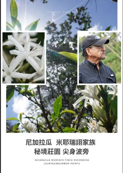 尼加拉瓜 米耶瑞詡家族 秘境莊園 水洗 天然半低因 尖身波旁2025