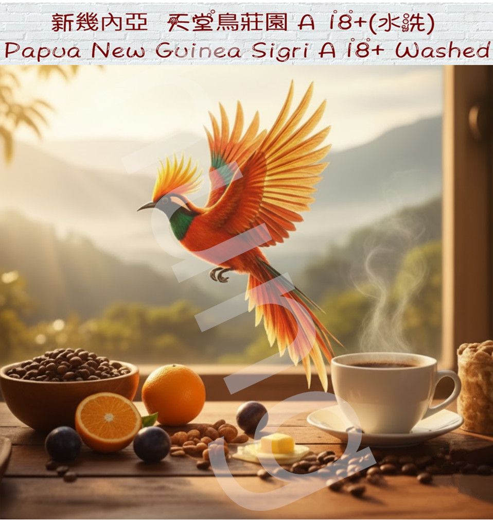 NEW新幾內亞 天堂鳥莊園 A 18+【水洗】2025