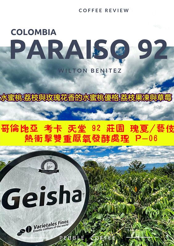 哥倫比亞 考卡 天堂 92 莊園 瑰夏/藝伎 熱衝擊雙重厭氧發酵處理 P-06
