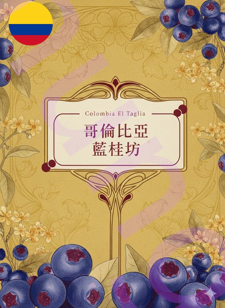 哥倫比亞 托利馬產區 塔利婭 藍桂坊 雙重厭氧水洗