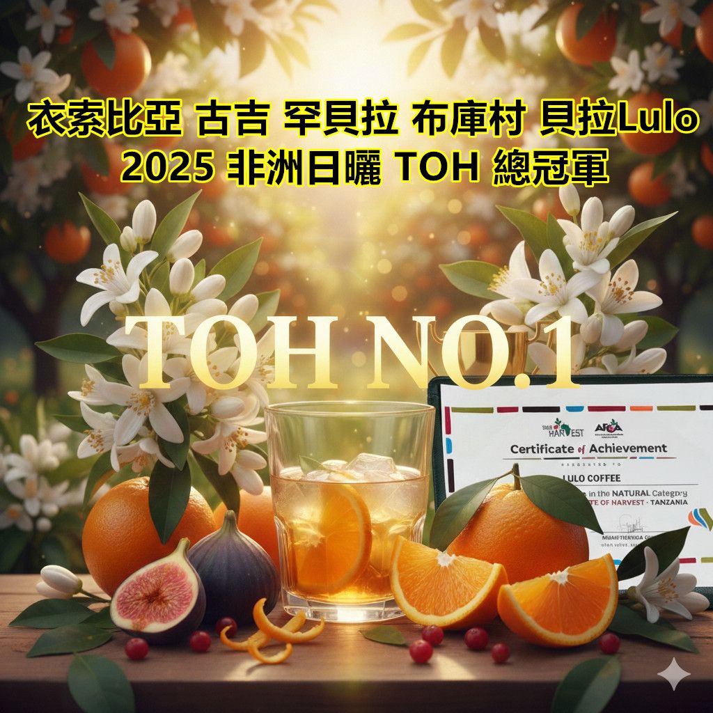 2025 非洲日曬 TOH 總冠軍 ] 衣索比亞 谷吉 罕貝拉 布庫村 貝拉Lulo 日曬 有證書