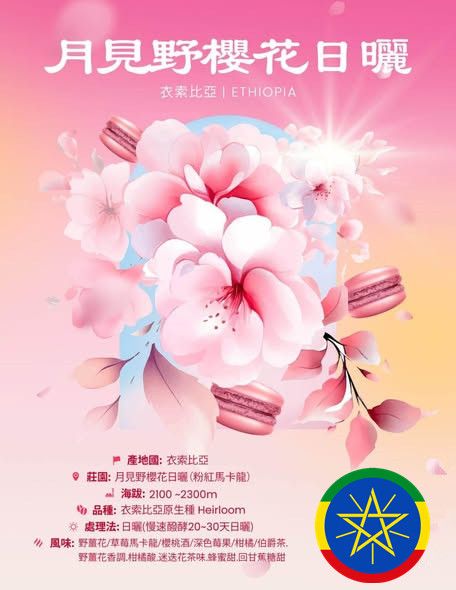 衣索比亞 古吉 月見野櫻花-粉紅馬卡龍 日曬 G1-新品