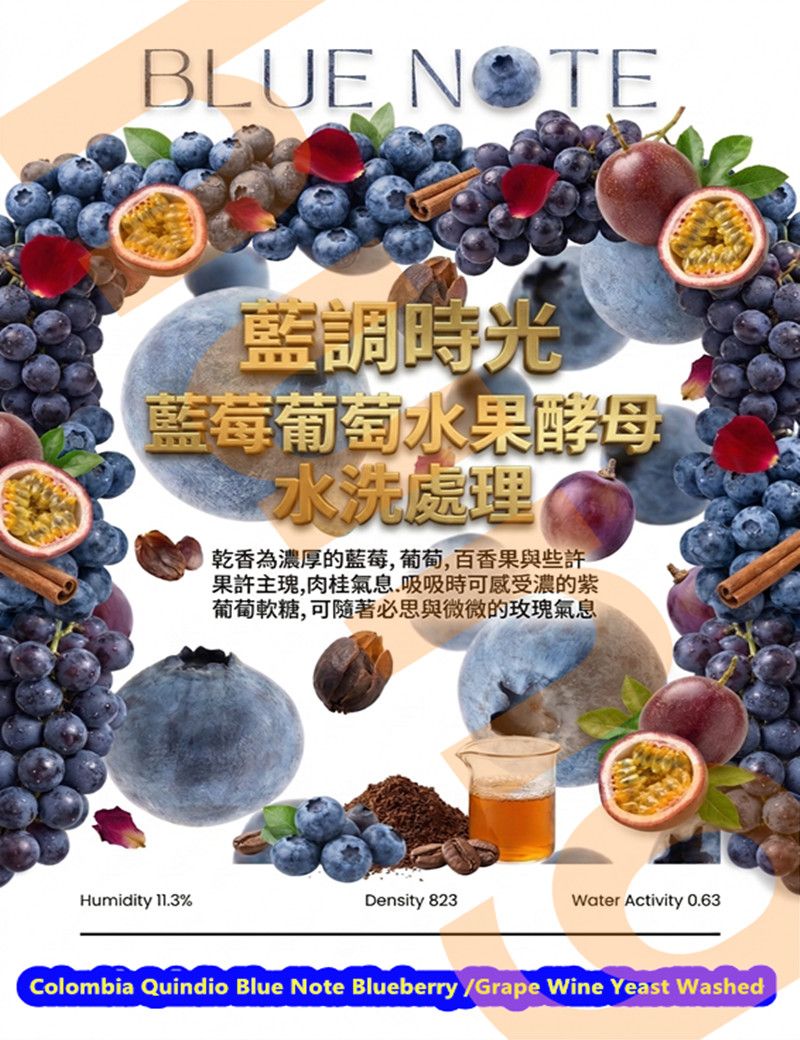 哥倫比亞 金迪歐 藍調時光 藍莓葡萄水果酵母 水洗處理