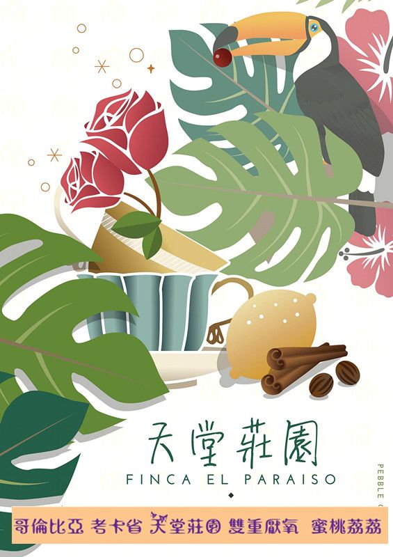 哥倫比亞 考卡省 天堂莊園 雙重厭氧  蜜桃荔荔