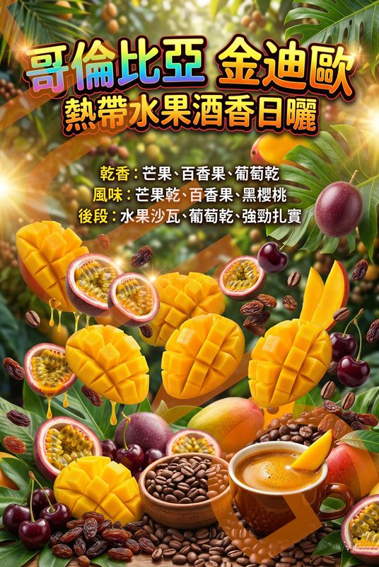 哥倫比亞 金迪歐 熱帶水果酒香日曬2026