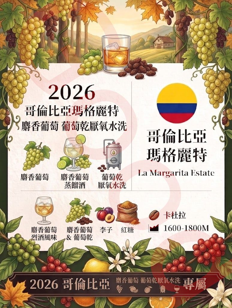 哥倫比亞 瑪格麗特莊園麝香葡萄乾厭氧水洗處理